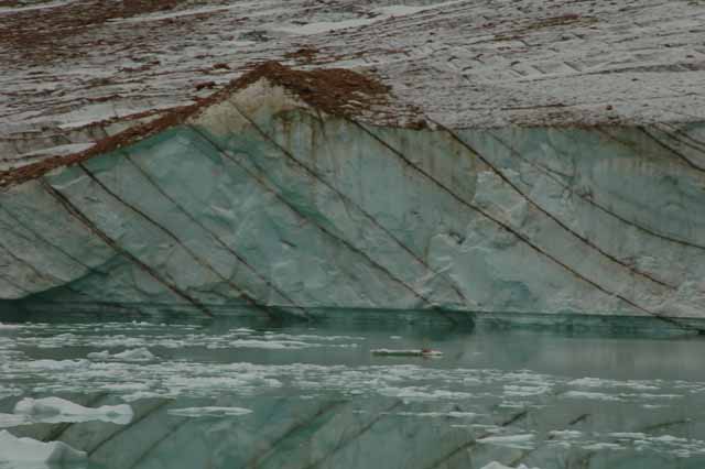 Mt. Edith Cavell